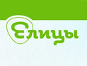 В православной соцсети "Елицы" появится свой мессенджер для верующих В православной соцсети "Елицы" появится свой мессенджер для верующих
