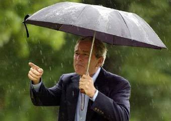 ������ ���, ���� Reuters, �����