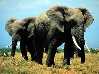 ����������� �����, ���� � ����� zoltantakacs.com