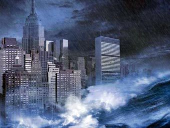 ������� � ������ "�����������" � ����� ������������ Fox 