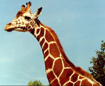 �����. ���� � ����� ����������� ��������.