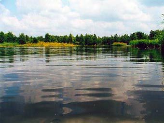 ��� ����������� "������� ������". ���� � ����� elkisland.net