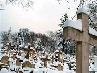 ��� ������������ ��������. ���� AFP