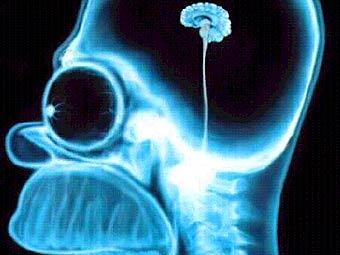 ����������� � ����� theomnivore.com