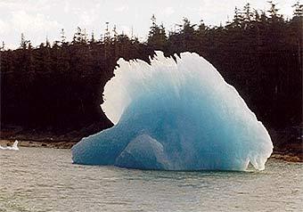 ���� � ����� nordichouse.net