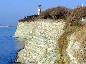 ���� �� ���� �����. ���� ������ ���� ��, Lenta.Ru