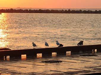 ���������� ����. ���� �����.��