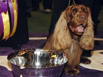 �������� �����. ���� &copy;AP