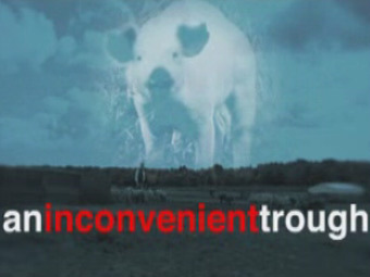 �������� ������ �������� Pigs are worth it