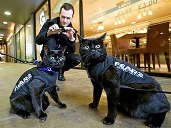 ���� � ����� kotaku.com