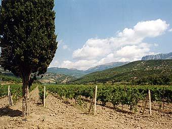 ������ ��� �� �������������� �����������. ���� � ����� massandra.ua.