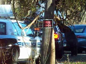 �������� � ����� ����������� ������. ���� ����������� � ����� NBC Connecticut