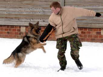 ���������� ���������� ���������. ���� ������������ ������� ��������������.