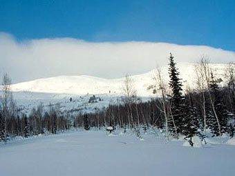 ������ �����. ���� � ����� meridian-omsk.ru