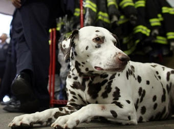 ��������. ���� &copy;AFP