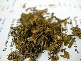 ���������. ���� � ����� erowid.org