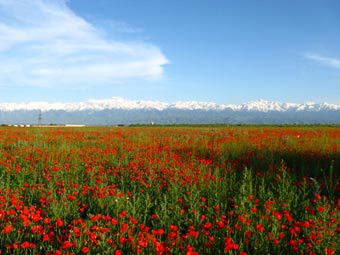 ���� � ������������ ������������ ������. ���� � ����� 