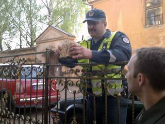 � ������ ������. ���� DELFI.