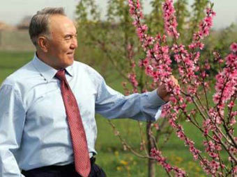 ��������� ���������. ���� �����-������ ���������� ����������