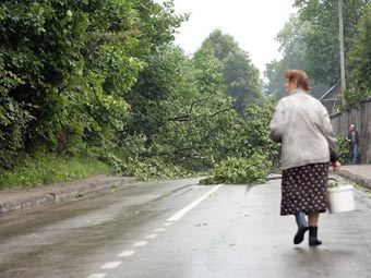 ���������� ������ ������ � �����. ���� DELFI