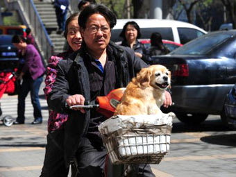 ���� &copy;AFP