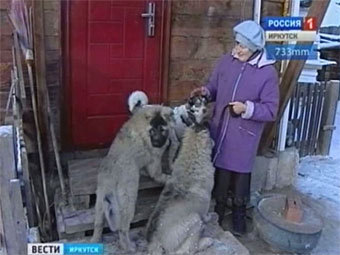 ���������� "���������". ���� ���������� "������ 1"