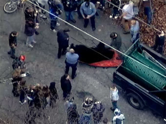 ���� ������������ WNBC