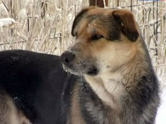 �������� ������. ���� ����������� � ����� YouTube