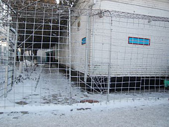 ����-1 � �������. ���� � ����� 24kg.org