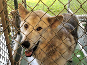 .    theadvocate.com