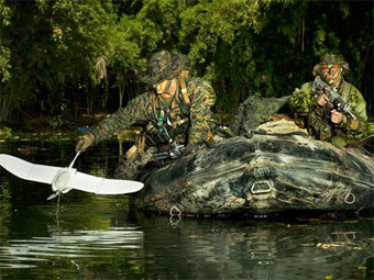 Wasp AE.    avinc.com