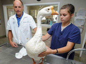 50 Cent.    newsone.com