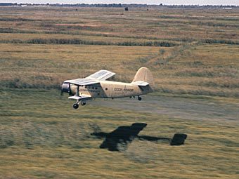 ���� ��� �������, ������ �